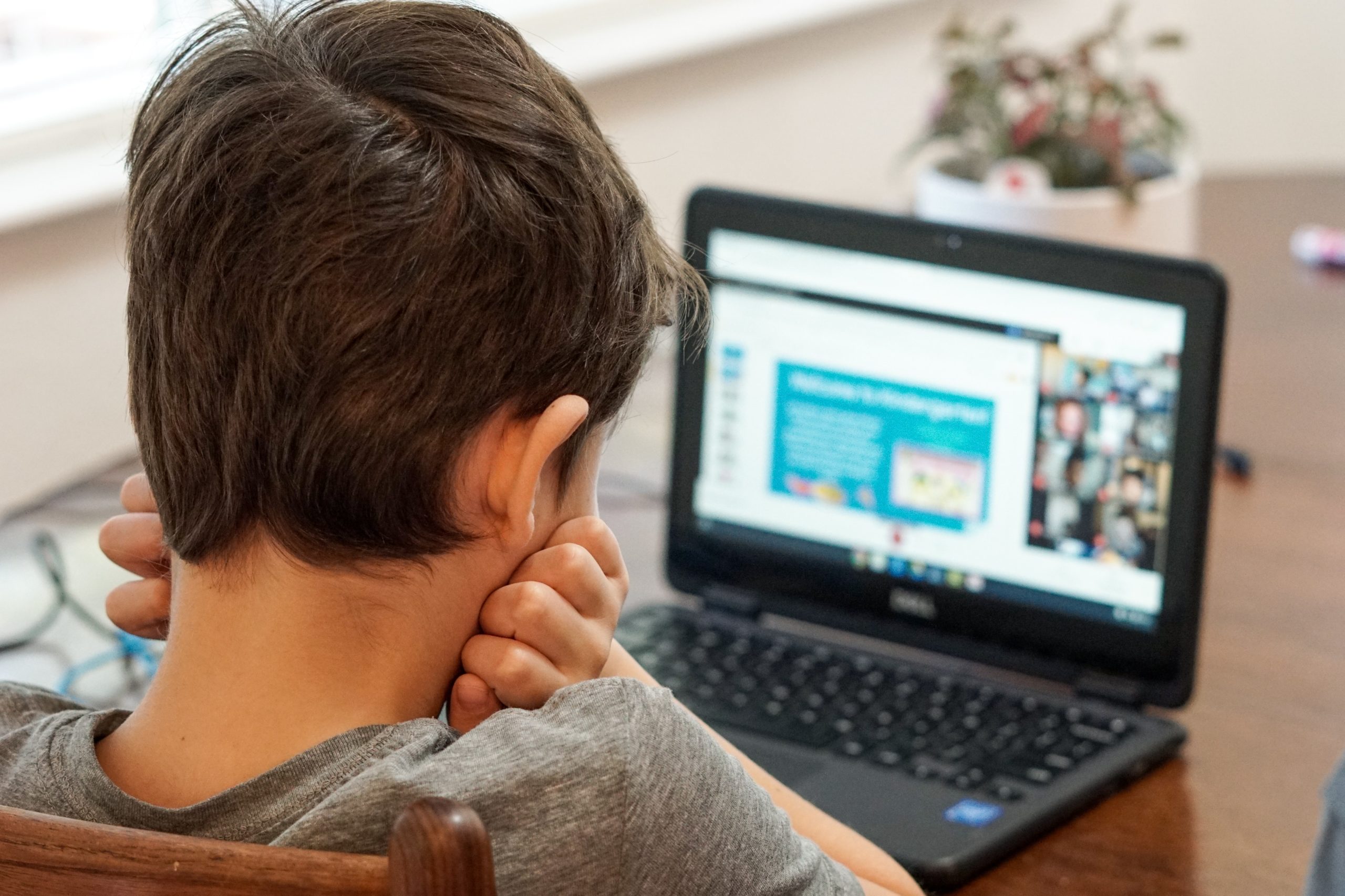 boy looking at computer