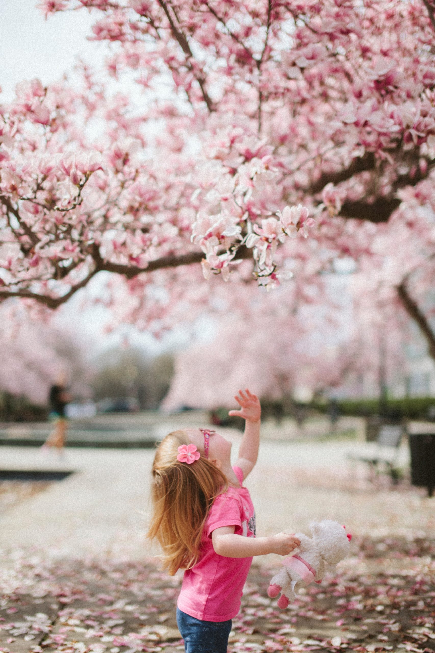 cherry tree girl